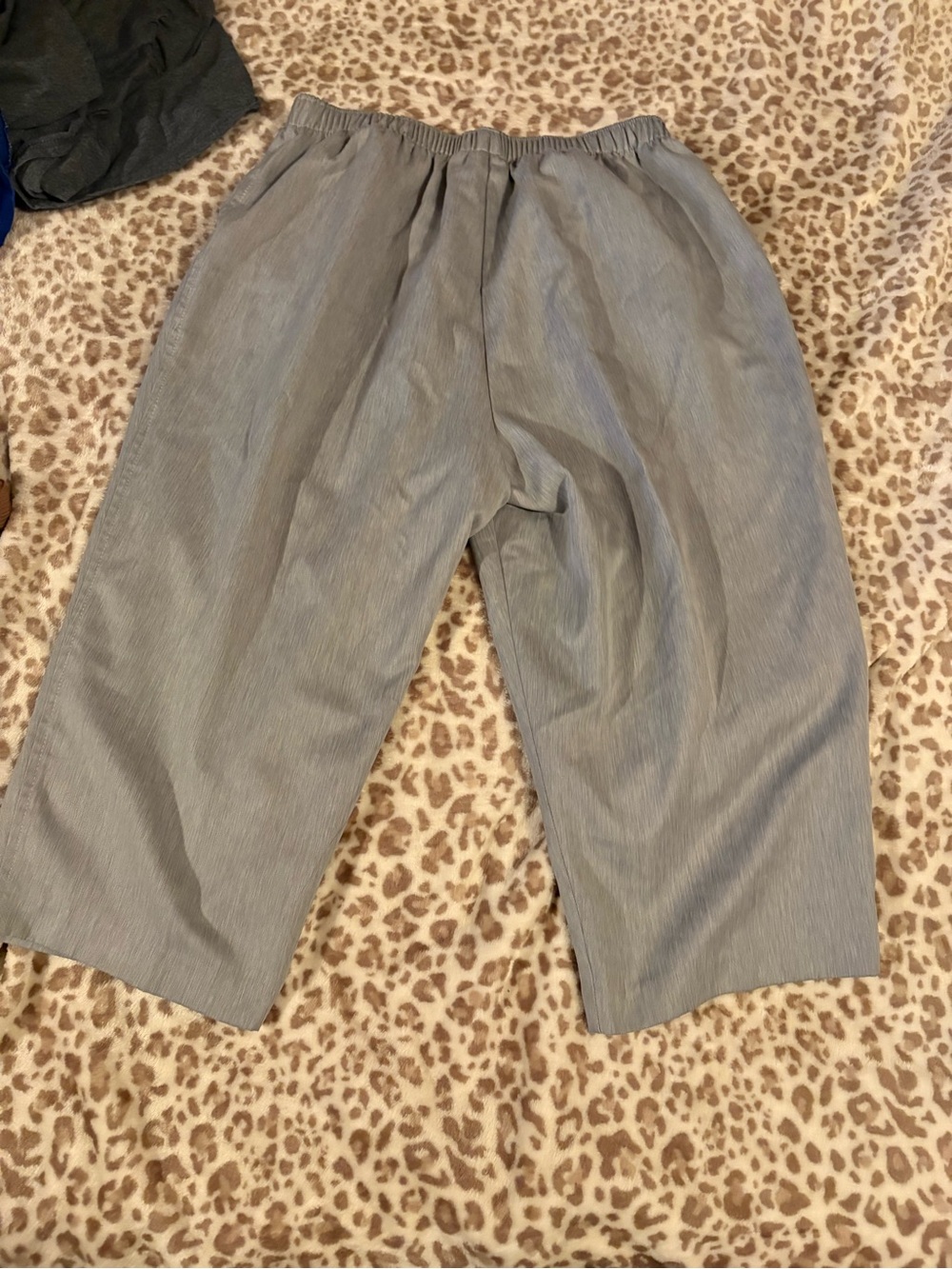 Kim Rogers Light Gray Elastic Waist Pull-On Shorts Size 14 Petite - Picture 4 of 4